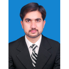 Montessori Teacher, PST(Primary School Teacher) 