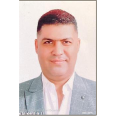 Senior Mechanical Project Engineer