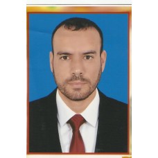 مدقق حسابات