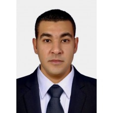 Senior site interior architect Consaltent 